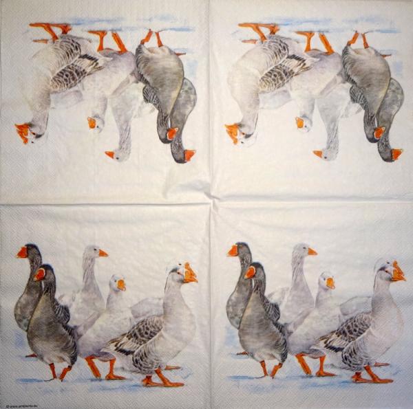139 Ducks - 3-ply